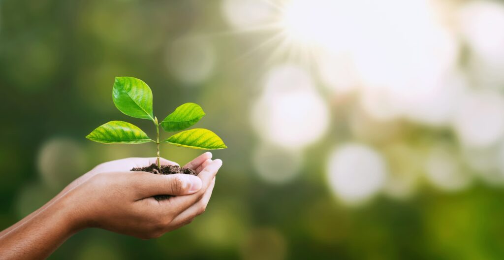 journée mondiale de l'environnement Paris