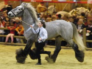 Cheval gris et son éleveuse au Salon de l'Agriculture. L'Hôtel Trianon Rive Gauche est un hôtel proche du salon.