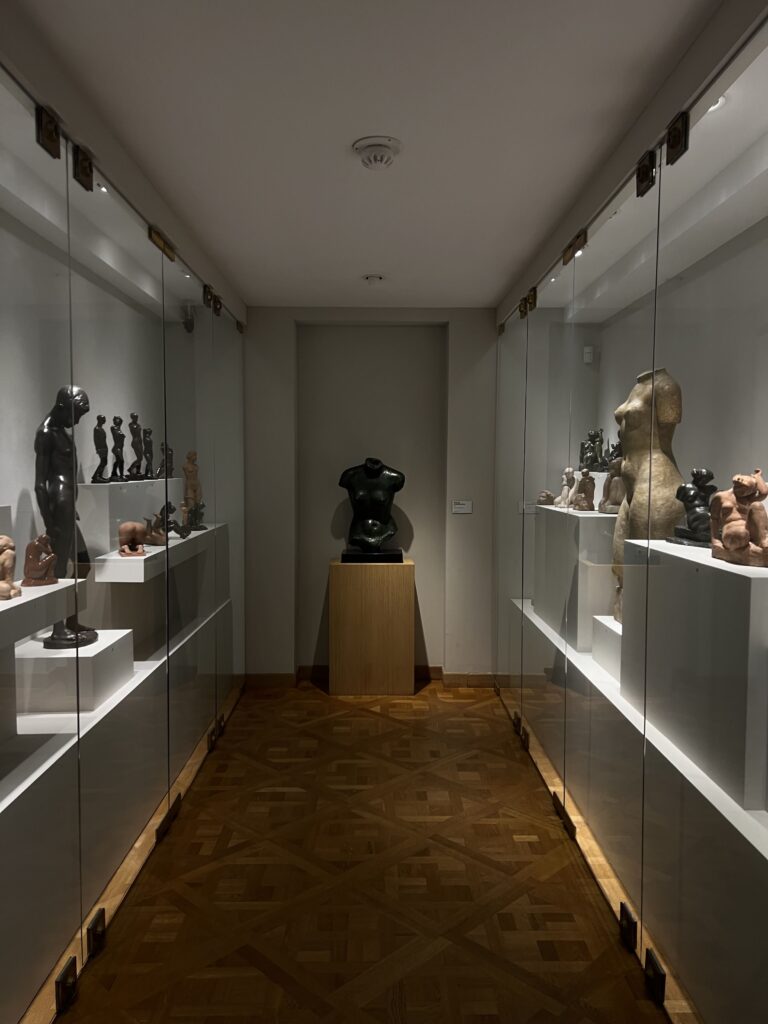 Chéri Samba Exhibition at the Maillol Museum : permanent exhibitions